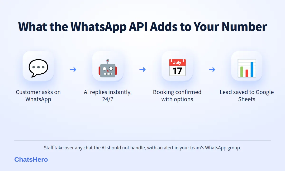 WhatsApp Business app vs API: how an AI chatbot on the API handles an enquiry from question to Google Sheets